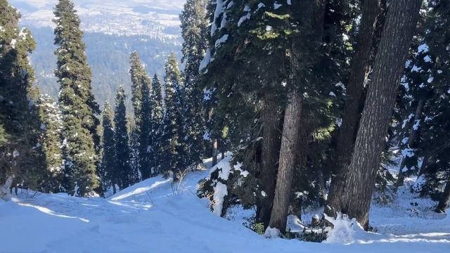 Nagtoep |Gulmarg skiing|powder skiing #gulmarg #skiing #skiing day