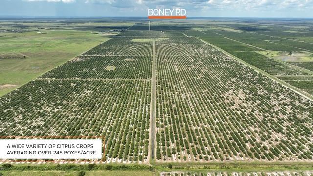 Wilburn Grove | 902 ± Acres | Citrus | Land Investment | For Sale in Sebring, Florida смотреть онлайн