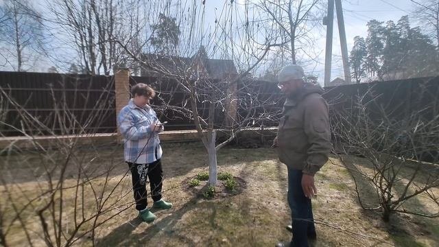 мария сорокина сад огород перфекциониста