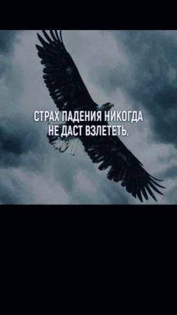 Мысли вслух
