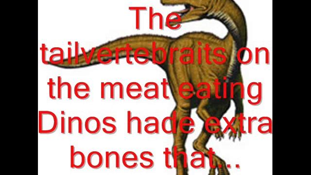 What is this animal? Protoavis. смотреть онлайн