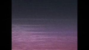 Vita Carnis - Living Meat Research Documentary 6 - Host of Influence