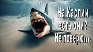 Мое море Каспий полно тайн и загадок.