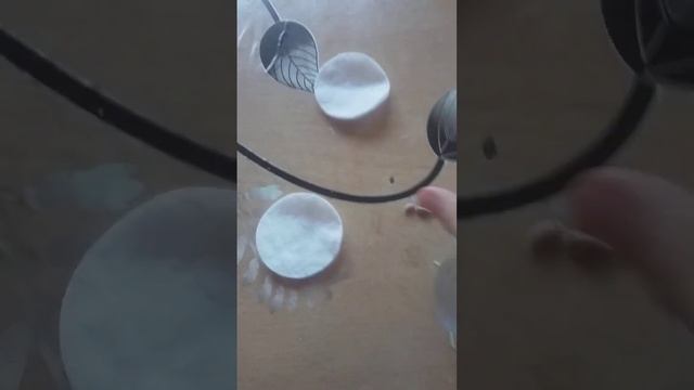 как вырастить лимон в домашних условиях