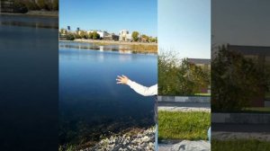 Осень...осень...