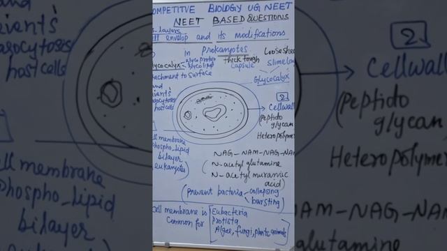 NEET BASED :PROKARYOTIC CELL ENVELOP AND ITS FUNCTIONS.