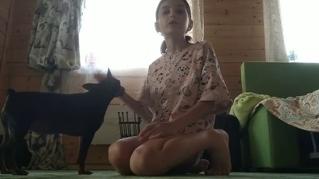 Команда стоять!🐾🐶 Как научить собаку команде стоять🐕 смотреть онлайн