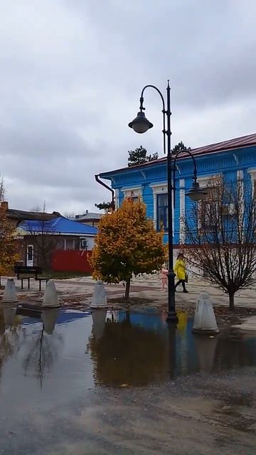 Урюпинск после осеннего дождя.Липовая аллея, старинная аптека, памятник козе.7 ноября 2023г.