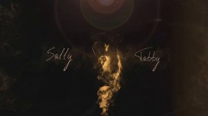 Sally & Tabby - Свет в тумане