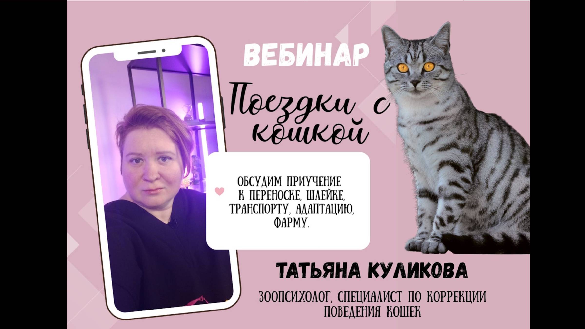 Вебинар Поездки с кошкой.