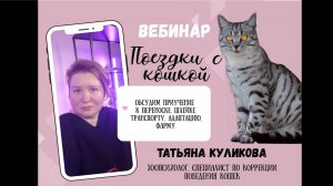 Вебинар Поездки с кошкой.