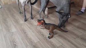 динозавр и собака ксоло