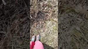 чистили участок от травы