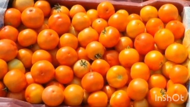 30-05-2024#ANGALLU MARKET TOMATO RATES అంగల్లు మార్కెట్ టొమాటో ధరలు смотреть онлайн