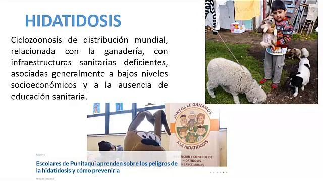 Clase 33 Céstodes II смотреть онлайн