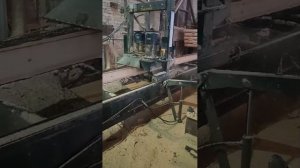 дисковая пилорама TWIN