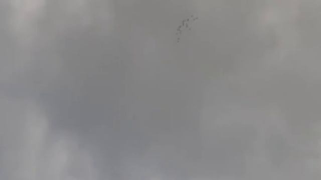 Бакинские голуби Василия.палиот при силном ветре маладых бакинов смотреть онлайн