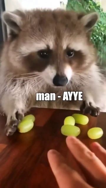 8 December 2022 смотреть онлайн