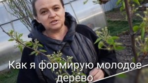 Сделайте это с молодым деревом весной