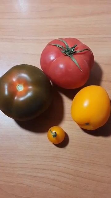 Tomato family смотреть онлайн