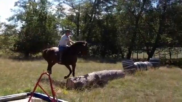 Nip смотреть онлайн