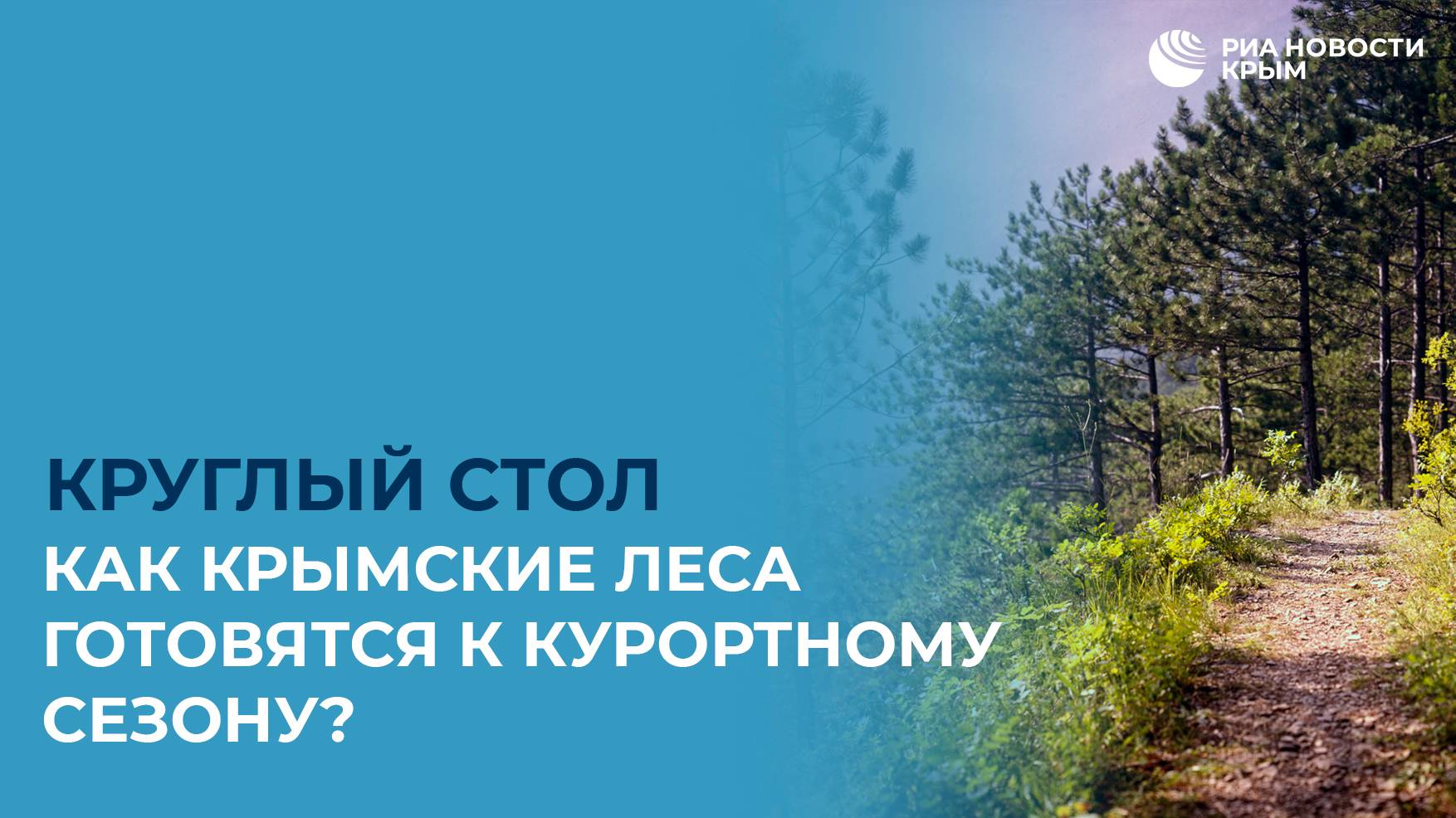 Как крымские леса готовятся к курортному сезону?