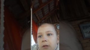 истори и одна страшная (котик рыпка)