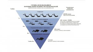 Водные люди. Снаряжение 2024. ЭДС — портативный дыхательный аппарат