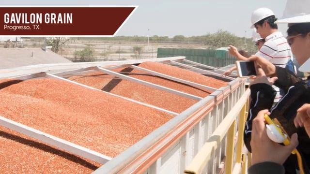 China Sorghum Trade Team смотреть онлайн