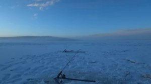 Форель.Лосось.Рыбалка на Аляске.