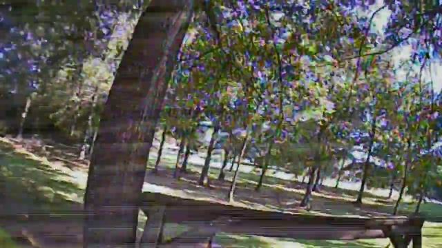 South Carolina Fun with Aurora 90 =3 смотреть онлайн