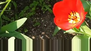 Ейск ! ЛФК - можно без назначения врача ? Отдых в нашем городе и многое другое! Архивное видео !