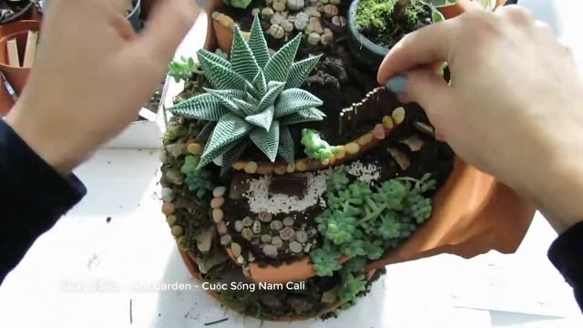 #26 Succulent DIY - Ý tưởng trang trí sen đá смотреть онлайн