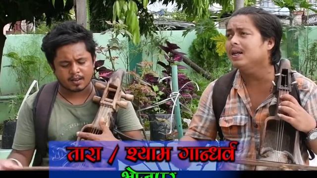 Tara Gandarbha/Shyam Gandarbha/ MERO TOPI KAILASH KO SEER JASTO #allovernepal #bhojpur #trending # смотреть онлайн