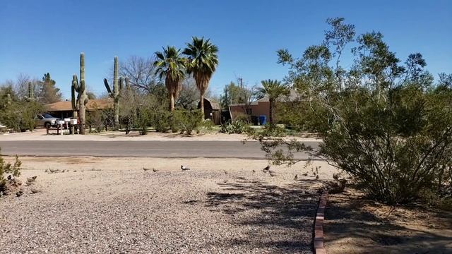 SAI MESA- BABY BLUE SKY FOR A DAY-THEN GEODADDYENGINEERING TOOK THE BLUE AWAY смотреть онлайн