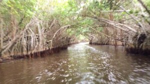 Laguna La Redonda — уникальное природное сокровище Кубы.