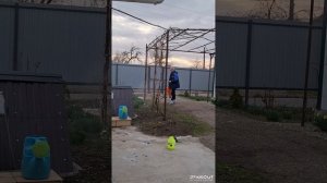 Матаня. Жизнь на Кубани.