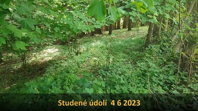 Studené údolí смотреть онлайн