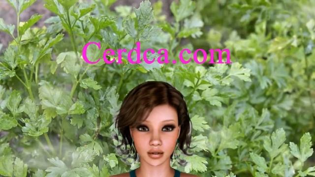 Умывание с петрушко, ухаживаем за лицом смотреть онлайн