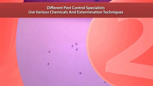 Exterminator Palmyra Missouri смотреть онлайн