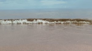 А это вовсе и не море... это Ладожское озеро. Июль 2024