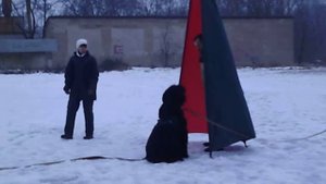 Горка . удержание и облаивание . с помощником