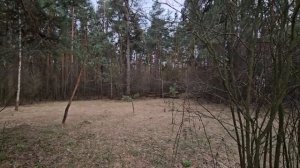 ЯСНОВИДЕНИЕ ДЛЯ РОЗАЛИИ