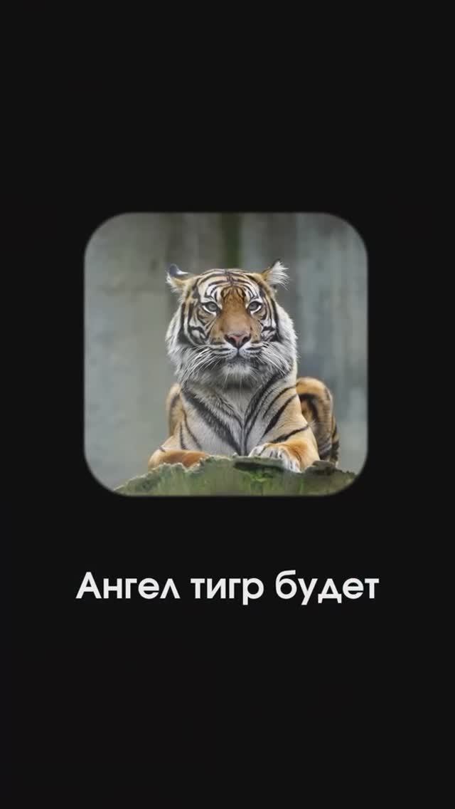 Виды ангелов. Алмакан эже Бекова