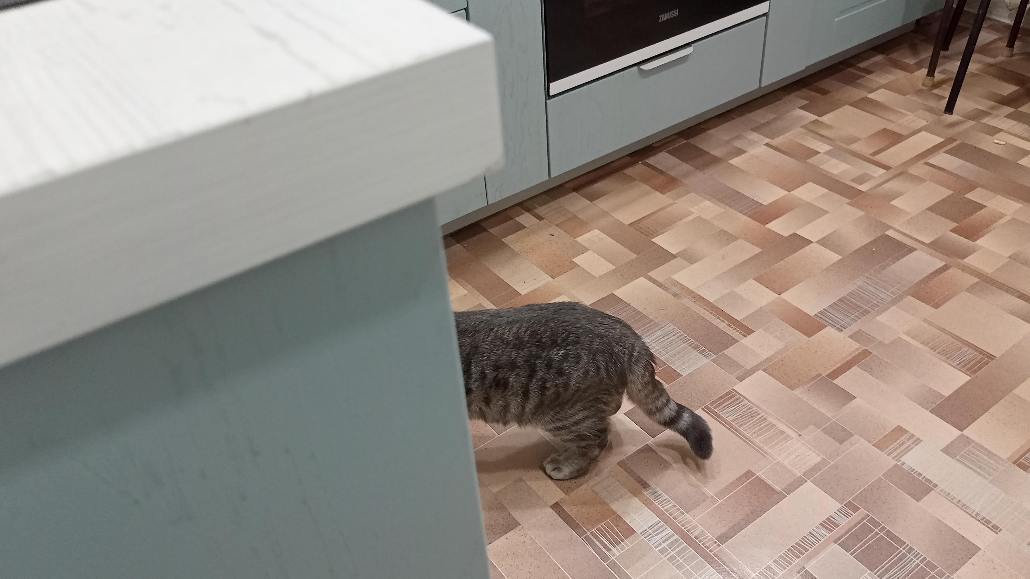 мои приключения в деревне