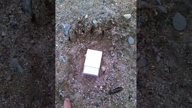 Медвежий край смотреть онлайн