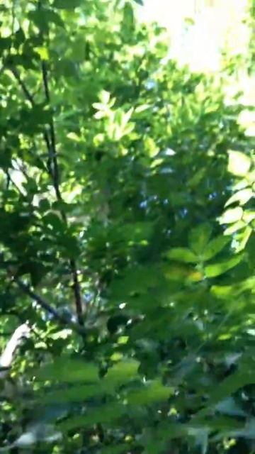 Leica gs08plus смотреть онлайн