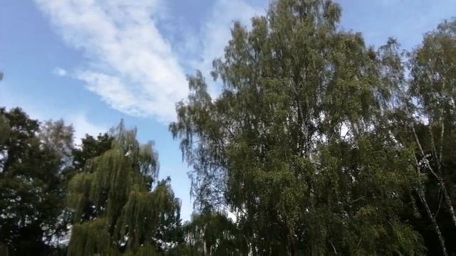 Отдых в пансионате "Дубрава" под Орлом