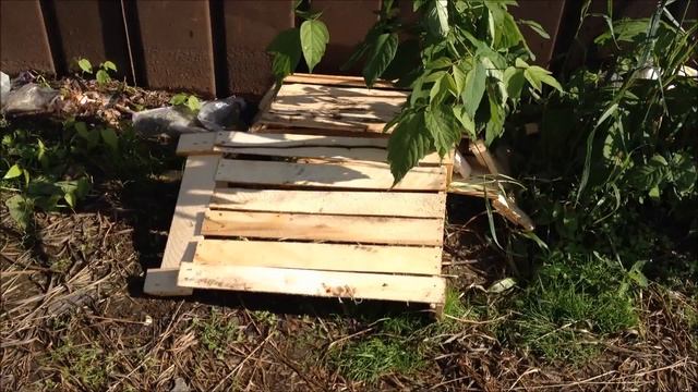 Приключение бирюзовой туфельки смотреть онлайн