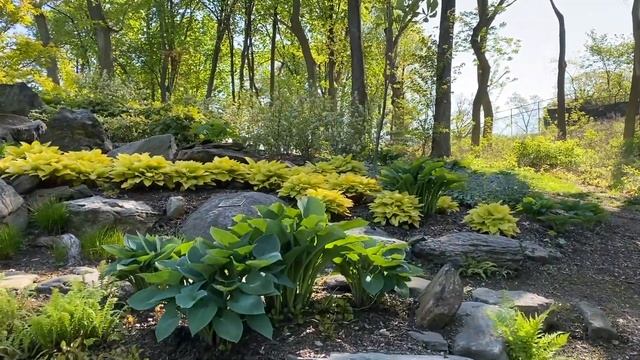 Temple of Love with Timothy, May 2020